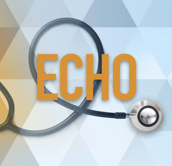 ECHO-edition